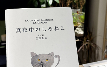 「真夜中のしろねこ」入荷いたしました