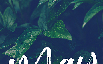 5月 Schedule Release