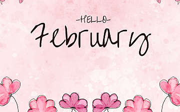 2026年2月 Schedule Release