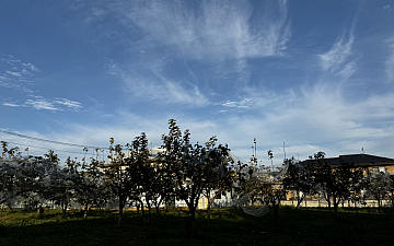 秋の味覚が届きました_1031更新