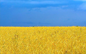 高濃度炭酸泉で義援金チャリティー_09/05更新