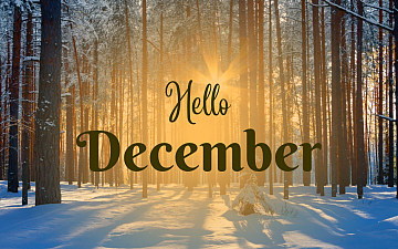 12月休業のお知らせ_1104更新