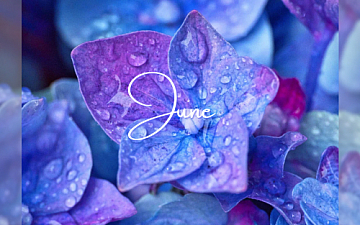 6月休業のお知らせ_0203更新