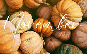 11月休業のお知らせ_0812更新