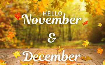 11月・12月 Schedule Release _0901UPDATE