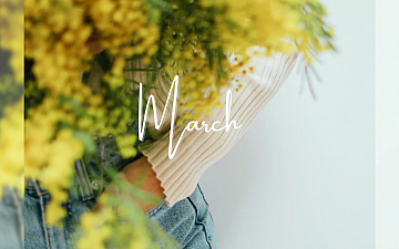 2026年3月 Schedule Release