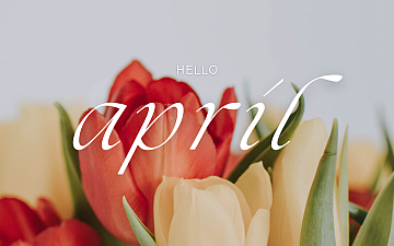 2026年4月 Schedule Release