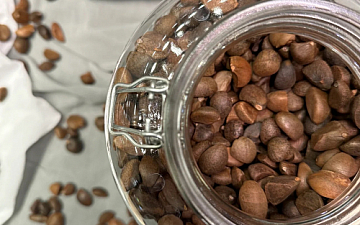 TE.ON ORGANIC AROMA SPA_0720更新